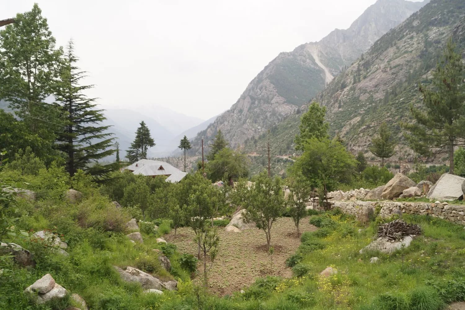 Houses, boulders and orchard trees on the valley floor at Chitkul